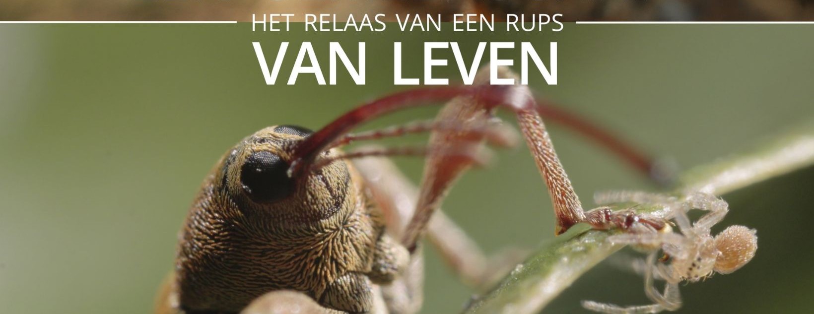 Een gemeenschap van leven