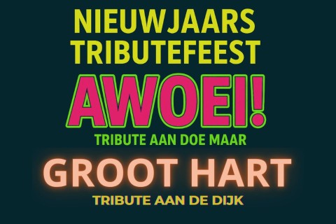 Nieuwjaars Tributefeest