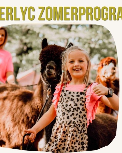 Alpaca's op bezoek in Elckerlyc
