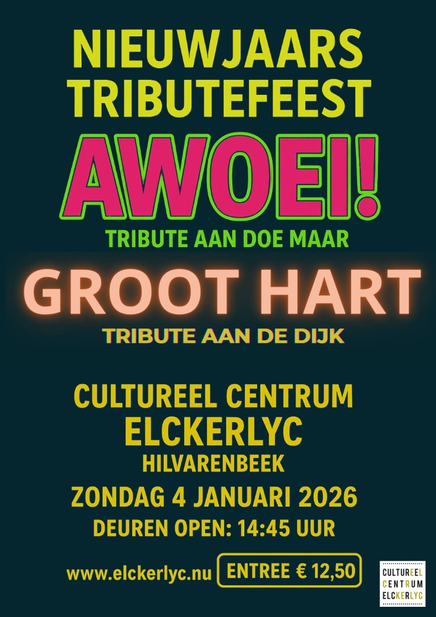 Nieuwjaarsfeest